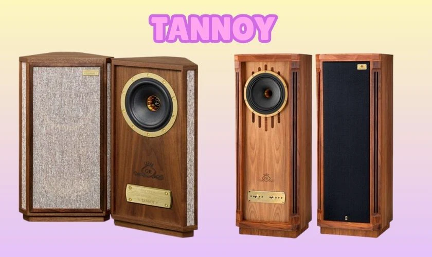C&aacute;c h&atilde;ng loa nổi tiếng to&agrave;n cầu - Tannoy