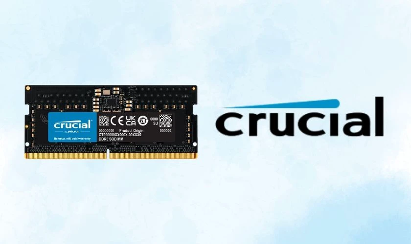 Crucial là thương hiệu RAM quen thuộc với người dùng cần nâng cấp laptop