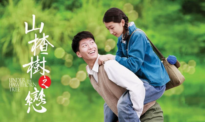 Chuyện T&igrave;nh C&acirc;y T&aacute;o Gai - Under The Hawthorn Tree (2010)