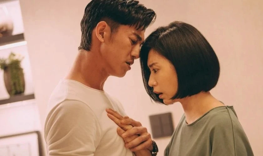C&aacute;c phim v&agrave; chương tr&igrave;nh truyền h&igrave;nh c&oacute; sự tham gia của Giả Tịnh Văn