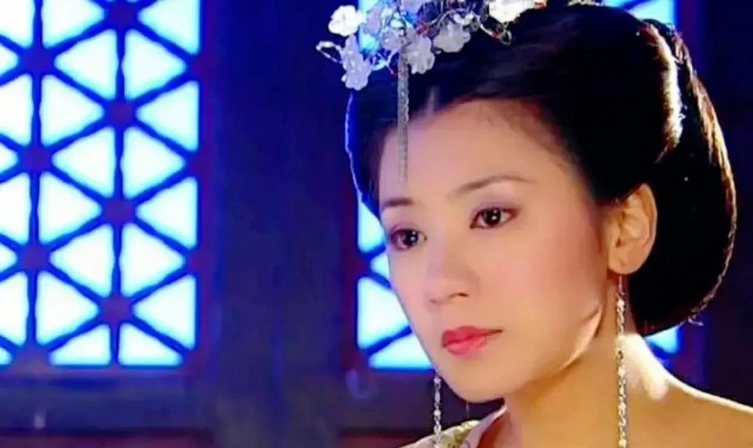 C&aacute;c phim v&agrave; chương tr&igrave;nh truyền h&igrave;nh c&oacute; sự tham gia của Giả Tịnh Văn hay nhất