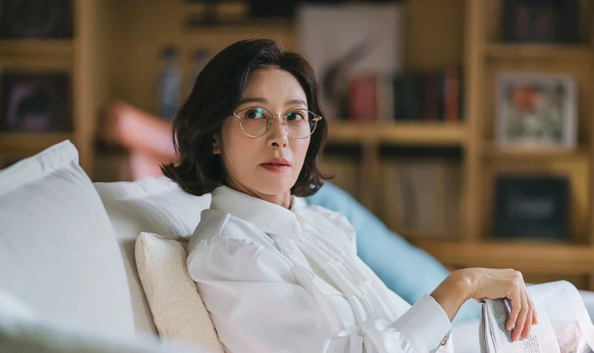 C&aacute;c phim v&agrave; chương tr&igrave;nh truyền h&igrave;nh c&oacute; sự tham gia của Jang Young Nam hay