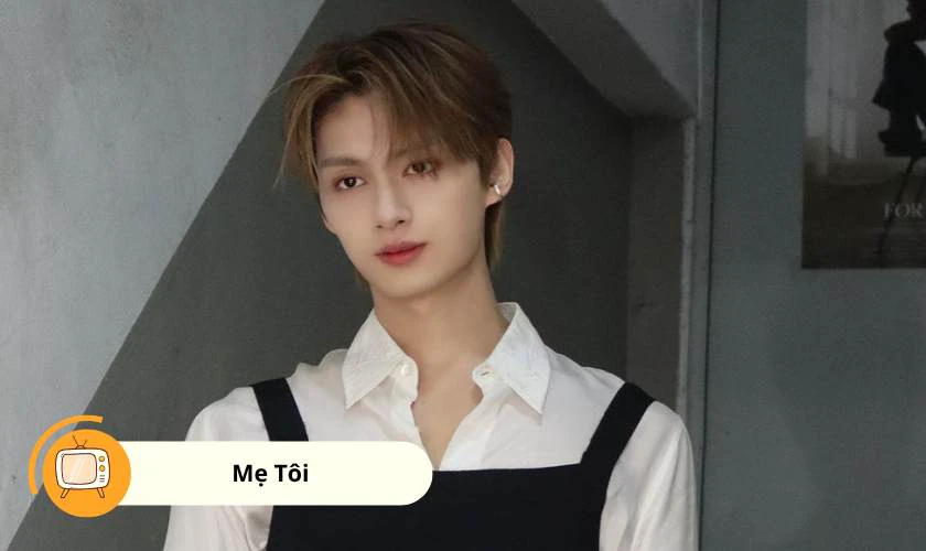 C&aacute;c phim v&agrave; chương tr&igrave;nh truyền h&igrave;nh c&oacute; sự tham gia của Văn Tuấn Huy hấp dẫn nhất