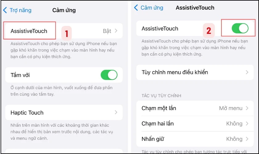 Trong mục Trợ năng