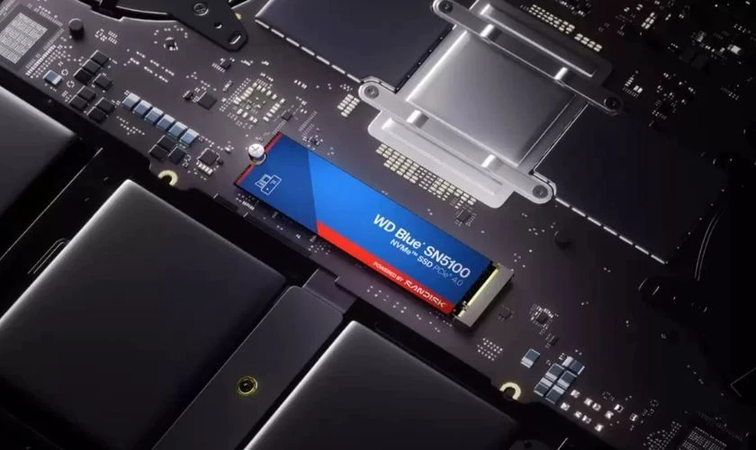 RAM, SSD và card đồ họa