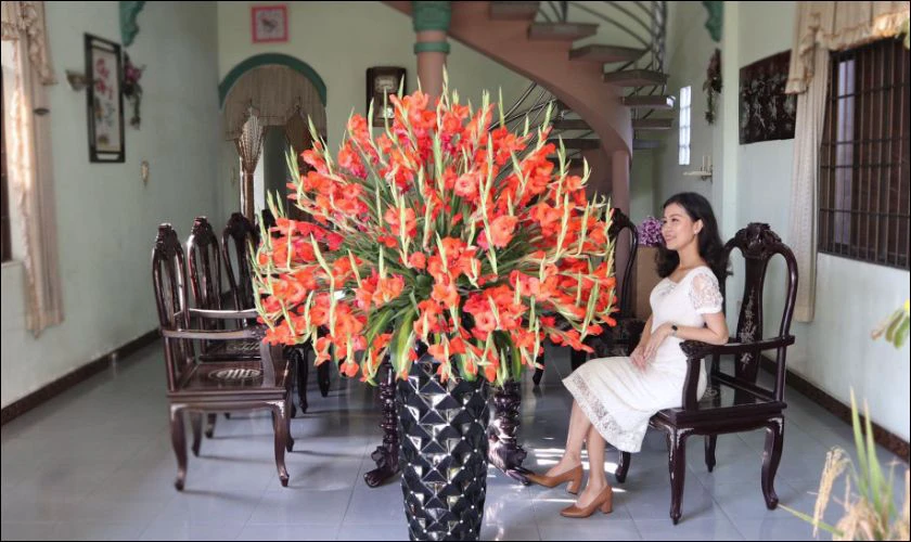 Hình ảnh hoa dơn đẹp tham khảo cắm hoa Tết