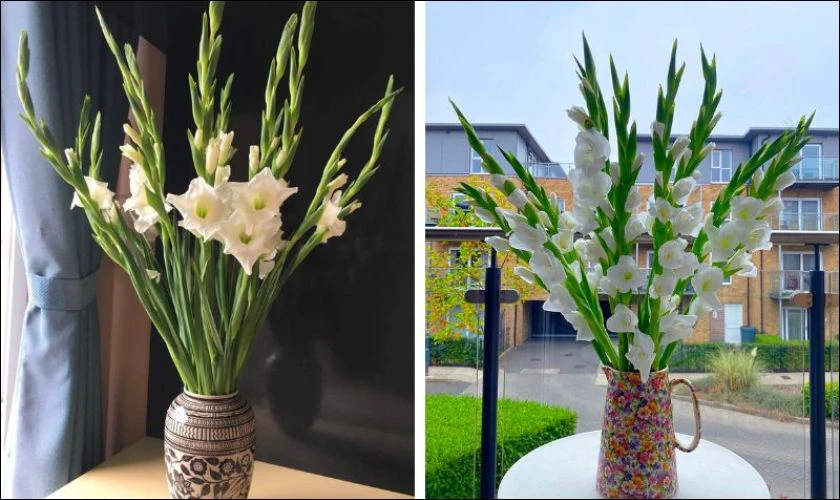 Cách cắm hoa dơn trắng với bình cổ cao