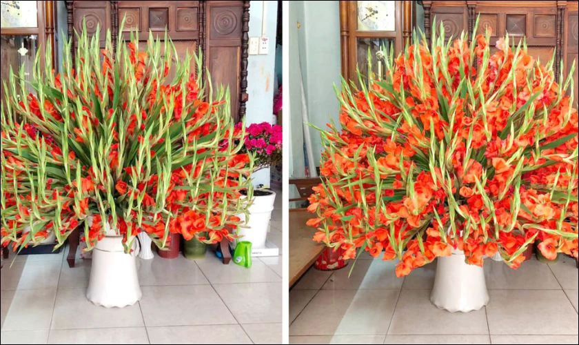 Cắm dơn chưng phòng khách ấn tượng