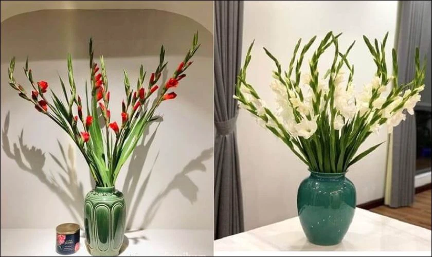 Cắm dơn bình thấp đơn giản mà đẹp