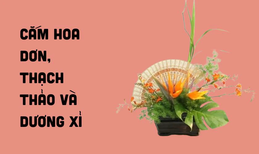 Kết hợp hoa dơn với thạch thảo và dương xỉ sáng tạo