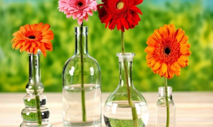 Cách cắm hoa ngày Tết trong lọ thuỷ tinh với hoa đồng tiền