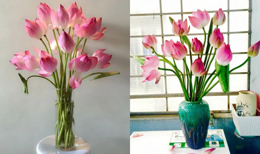 Cách cắm hoa ngày Tết trong lọ thuỷ tinh với hoa sen