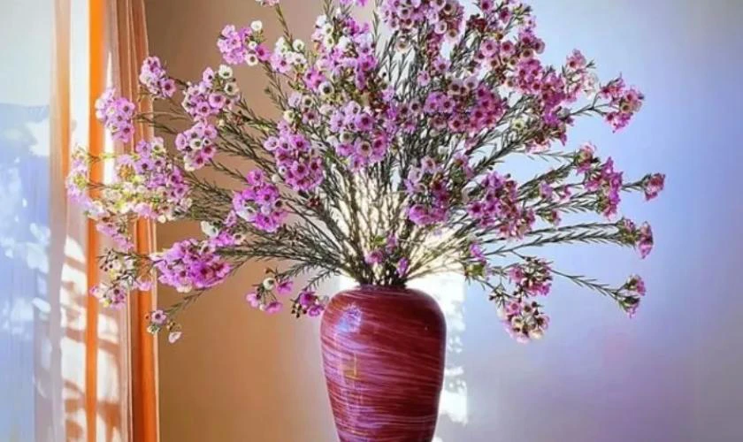 99+ mẫu cắm hoa thanh liễu đẹp mắt tại nhà 2026