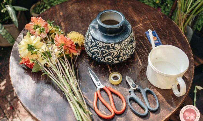 Cách chọn hoa thược dược đẹp, tươi lâu