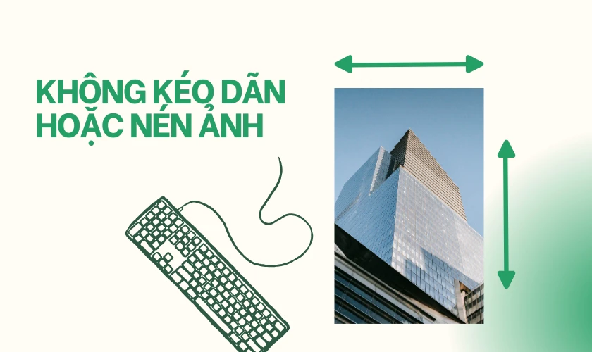 Kh&ocirc;ng k&eacute;o d&atilde;n hoặc n&eacute;n ảnh