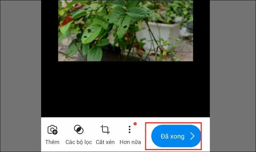 Tùy chỉnh hình ảnh và chọn vào Đã xong