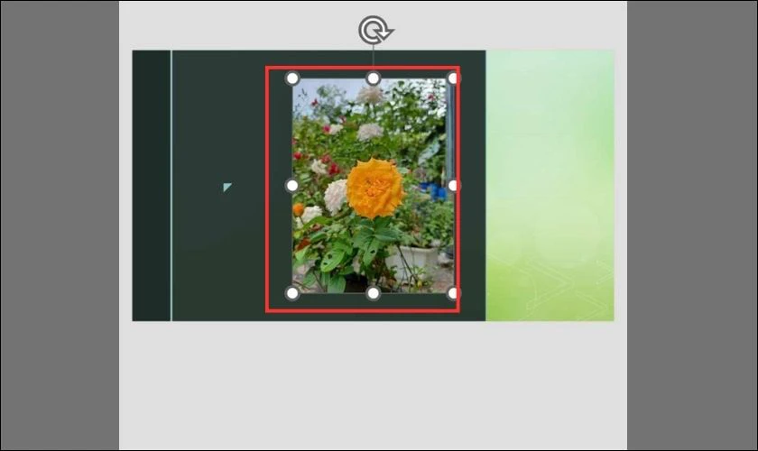 Khi hoàn thành ảnh sẽ được chèn vào slide PowerPoint
