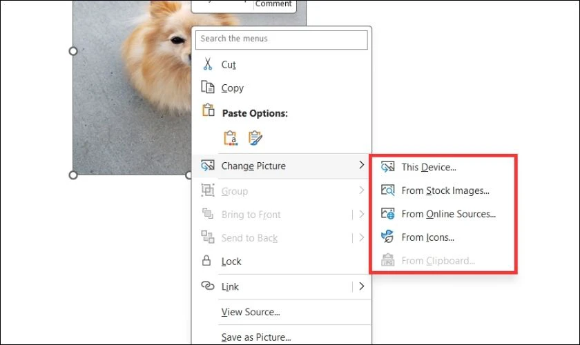 Lựa chọn nguồn ảnh tùy ý