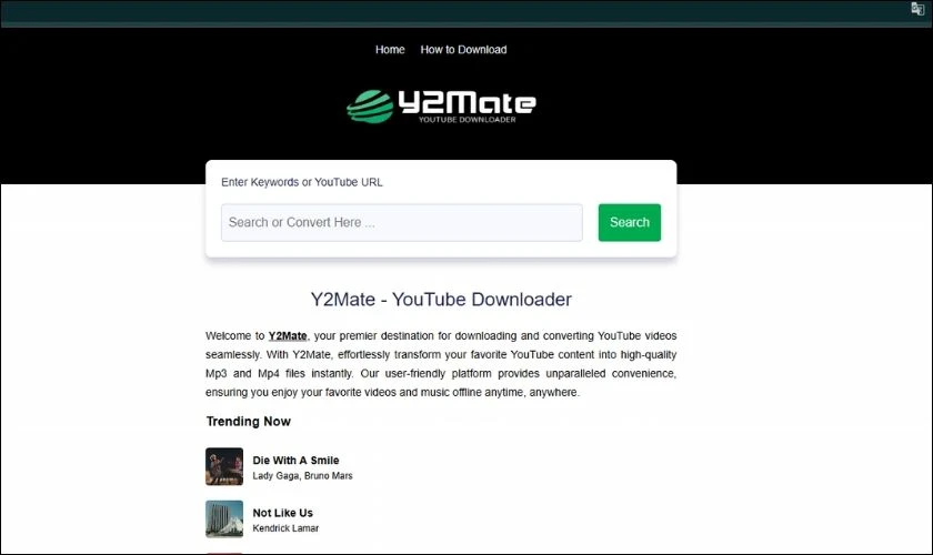 Sử dụng c&aacute;c trang web hoặc phần mềm hỗ trợ tải video từ YouTube