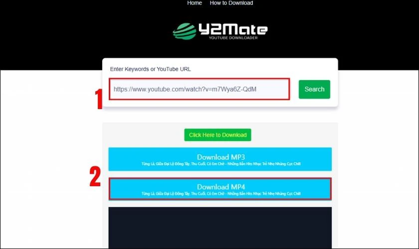 D&aacute;n URL video YouTube v&agrave;o c&ocirc;ng cụ tải xuống v&agrave; chọn định dạng MP4