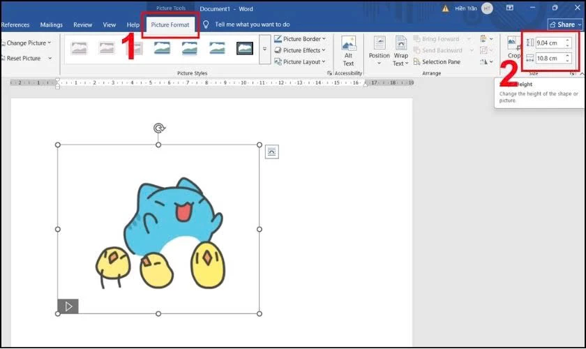 Picture Format