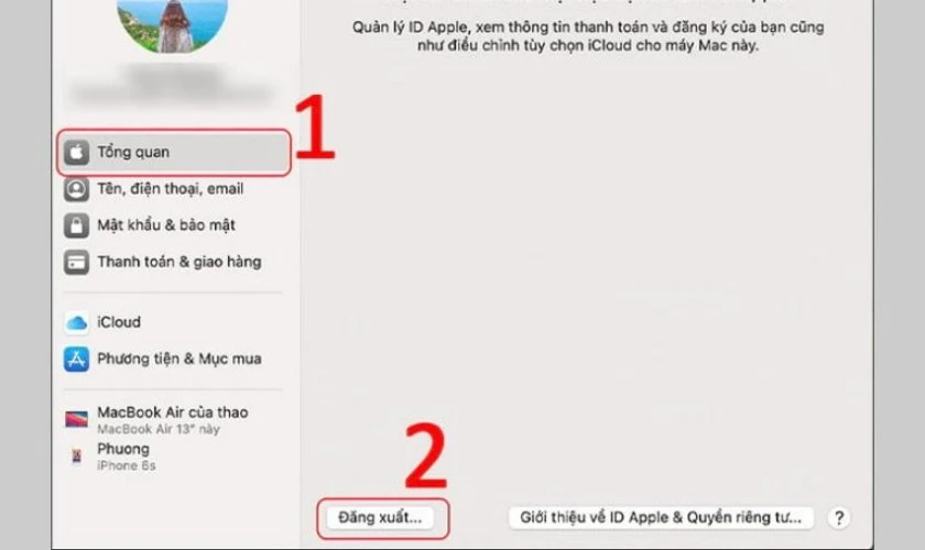Chọn vào mục Tổng quan và nhấn vào Đăng Xuất
