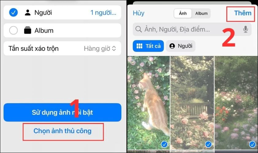 Chọn c&aacute;c ảnh bạn muốn đặt l&agrave;m h&igrave;nh nền cho iPhone