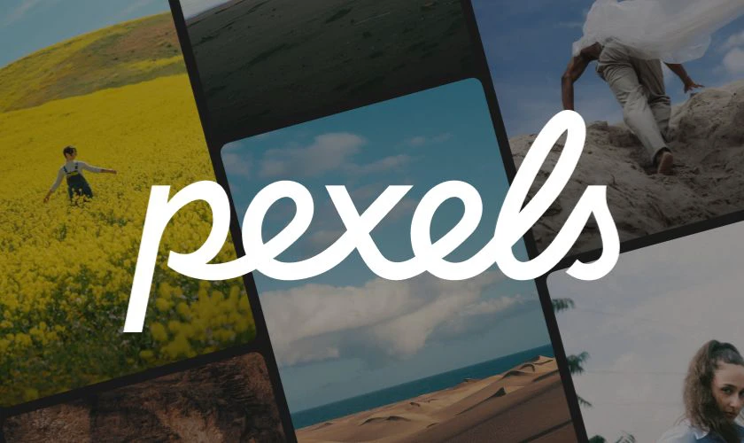 Pexels cung cấp kho ảnh v&agrave; video miễn ph&iacute;