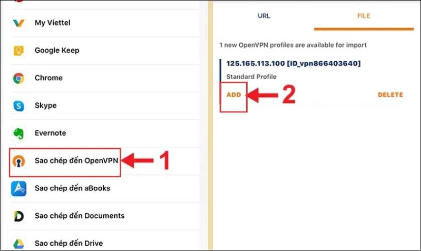 Nhấn chọn sao ch&eacute;p đến OpenVPN