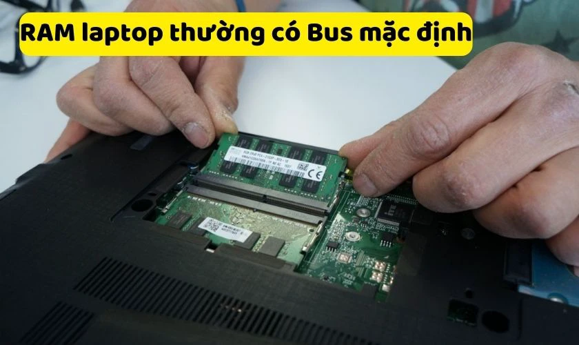C&oacute; n&ecirc;n &eacute;p xung RAM cho laptop kh&ocirc;ng?