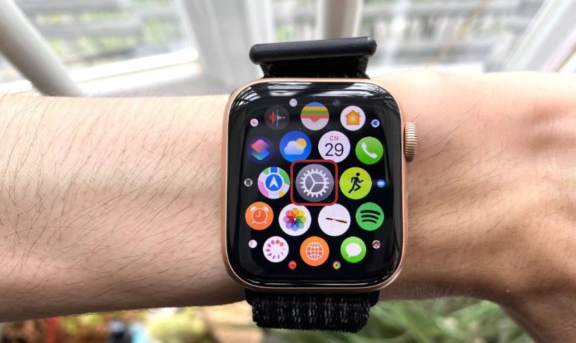 Chọn vào biểu tượng bánh răng trên Apple Watch