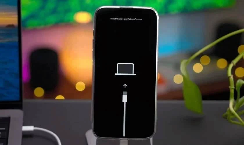 Đưa iPhone của bạn vào Chế độ Khôi phục
