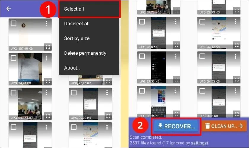 Bạn h&atilde;y bấm v&agrave;o Select All v&agrave; nh&acirc;́n Recovery