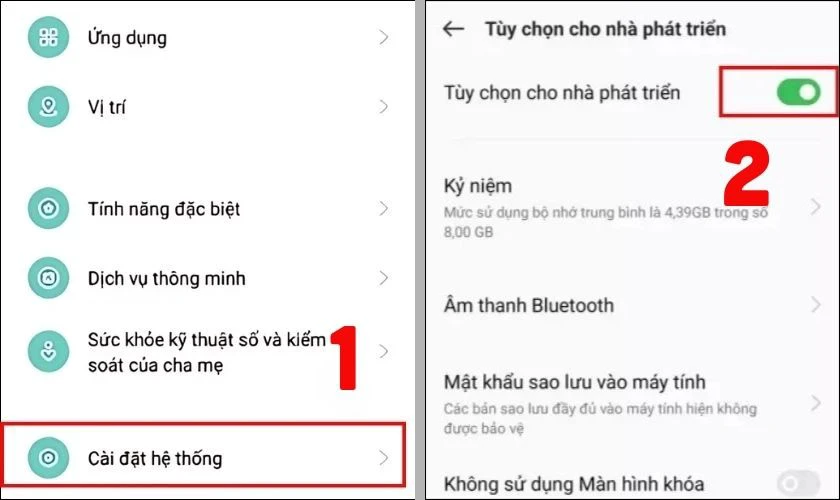 Tại mục Cài đặt hệ thống, bật Tùy chọn nhà phát triển
