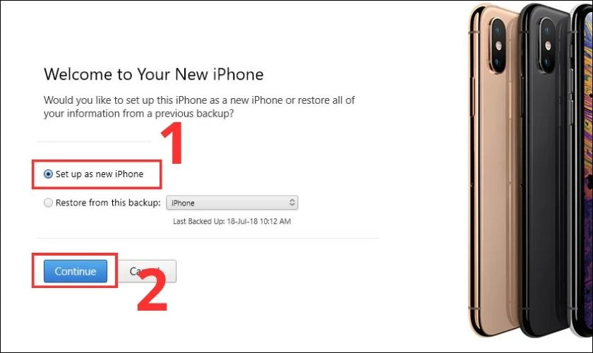 Bạn chọn vào Set up as new iPhone và nhấn Continue