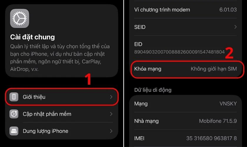 Kiểm tra khóa mạng và khả năng sử dụng SIM/eSIM