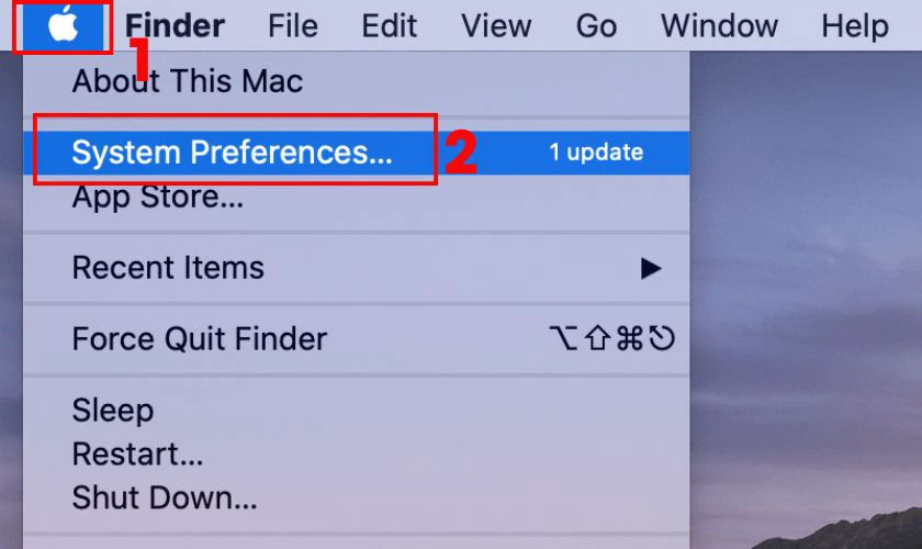 Nhấn vào biểu tượng Apple, sau đó chọn System Preferences