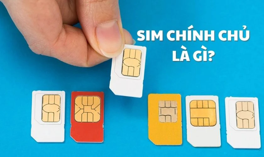 SIM ch&iacute;nh chủ l&agrave; g&igrave;?&nbsp;