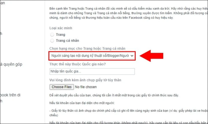Hạng mục hoạt động