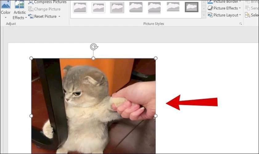 Trong Powerpoint cắt ảnh được kh&ocirc;ng