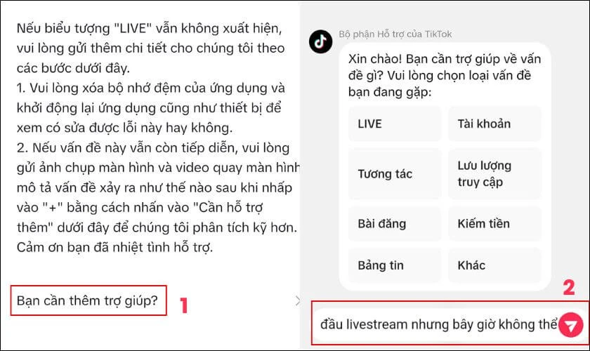 Nhấn Gửi v&agrave; chờ TikTok phản hồi