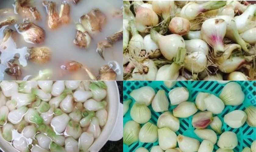 Cắt rễ, bóc vỏ, rửa sạch hành