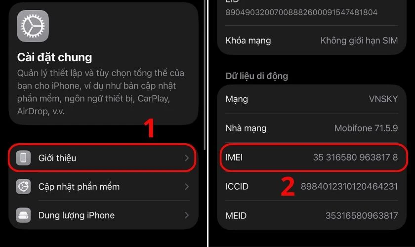 Cách phân biệt iPhone thật giả bằng số sê-ri và IMEI