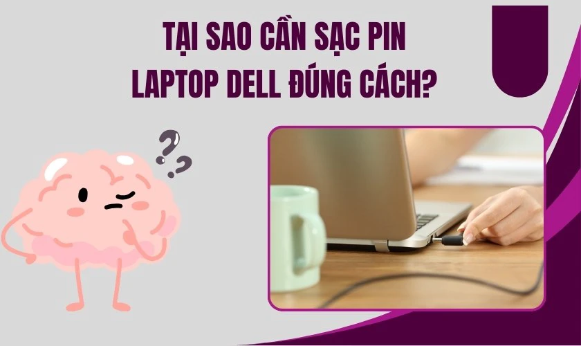 Tại sao cần sạc pin laptop Dell đ&uacute;ng c&aacute;ch