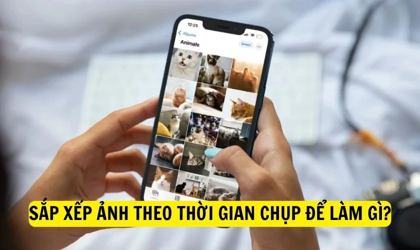 C&aacute;ch sắp xếp ảnh theo thời gian chụp để l&agrave;m g&igrave;?