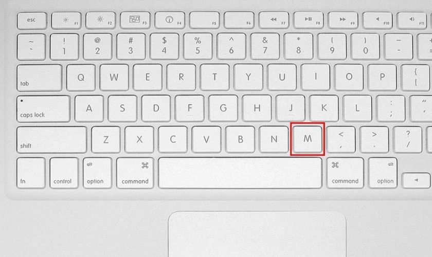 Ph&iacute;m tắt b&agrave;n ph&iacute;m, điều khiển kh&ocirc;ng cần chuột tr&ecirc;n macOS