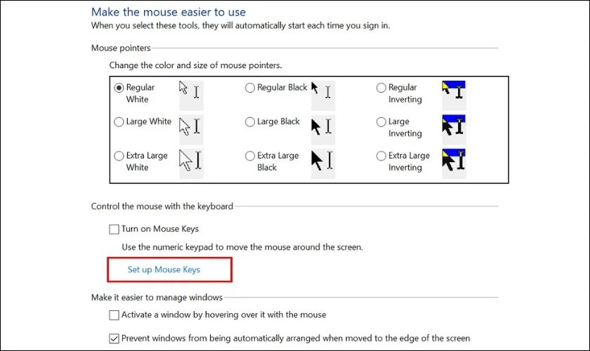 Chọn v&agrave;o Set up Mouse Keys