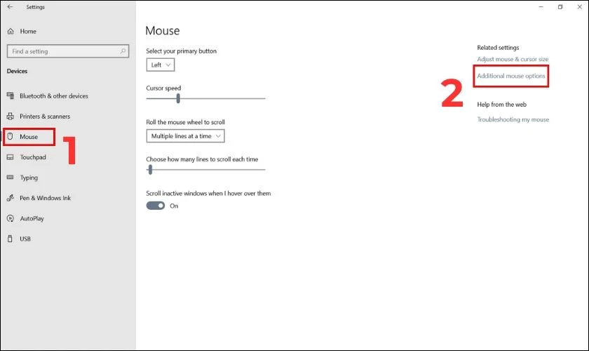 Chọn mục Additional mouse options
