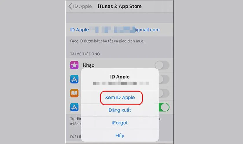 Tải TikTok Trung Quốc tr&ecirc;n iPhone