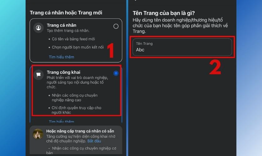 Chọn mục Trang c&ocirc;ng khai